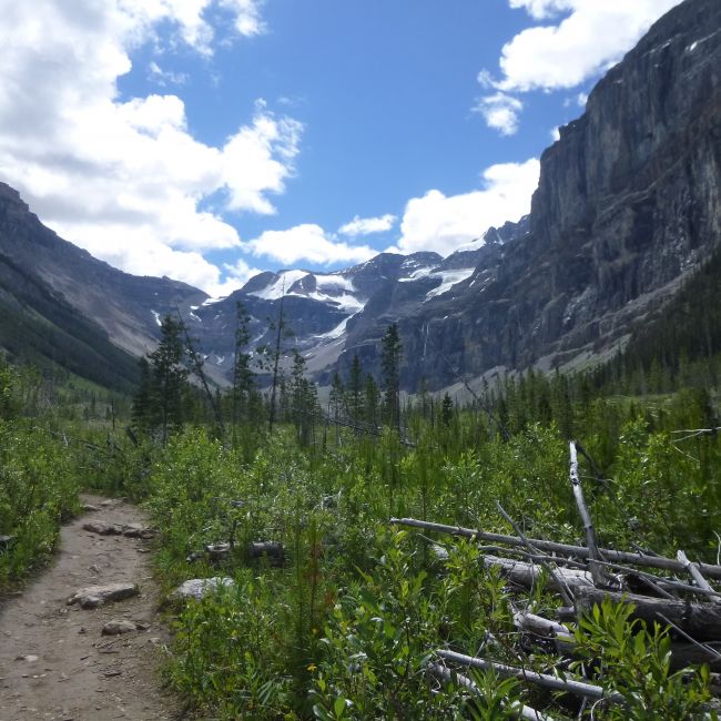 Stanley glacier trail outlet kootenay national park